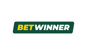 Exploring BetWinner A Comprehensive Guide for South African Bettors